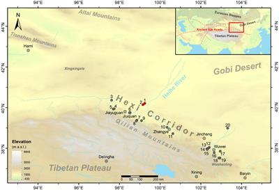 Diversification in Feeding Pattern of Livestock in Early Bronze Age Northwestern China
